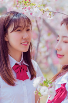 霜花店无删减
